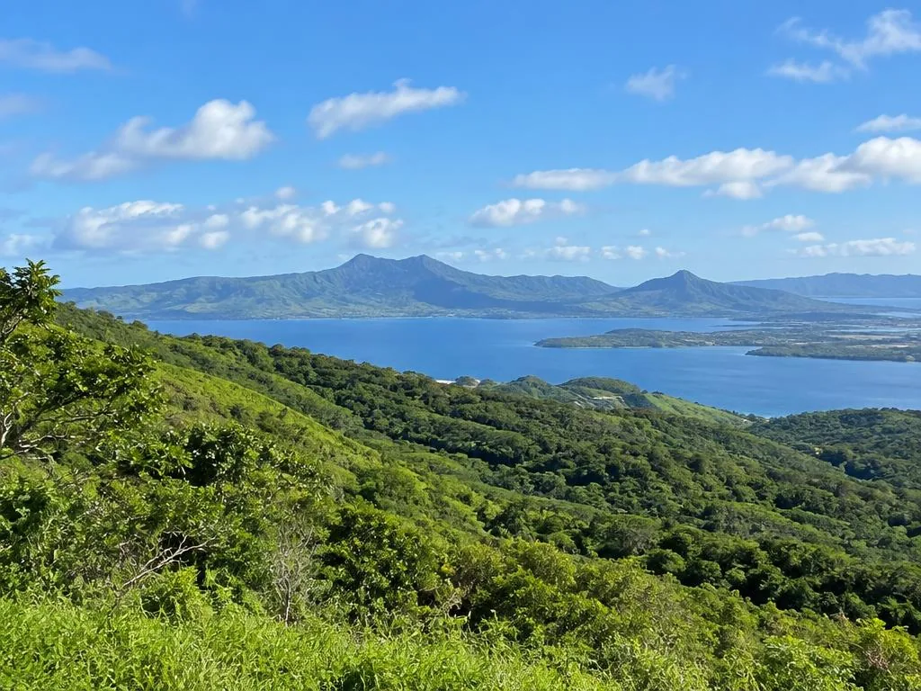 Green Aiea hillside overlooking the harbor
